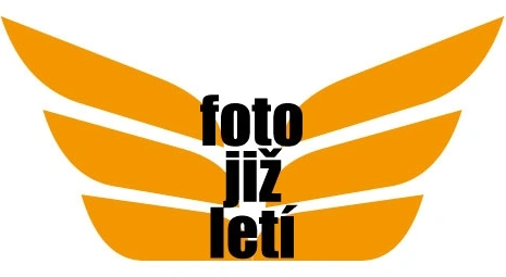 FOLIATEC dvojzložková farba na brzdové strmene ČERVENÁ MATNÁ (sada k aplikácii)